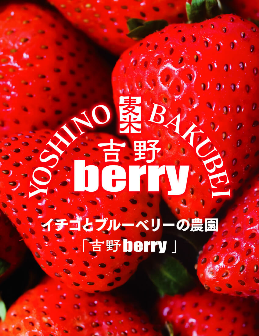 吉野berry・いちご狩りブルーベリー狩り